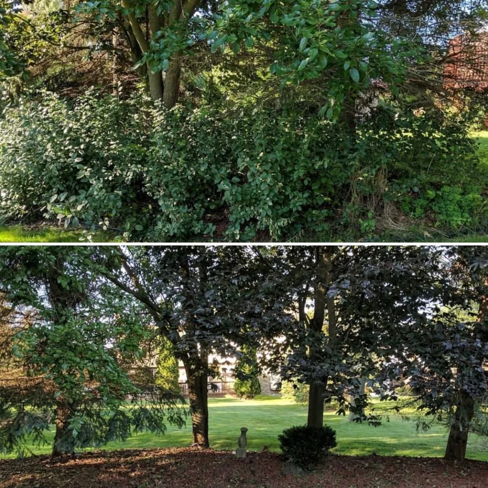 Top-rated landscaping services with custom design across Westland, MI - D&j Landscaping