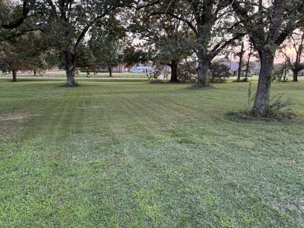 Expert yard maintenance in Valley Grande, AL by D&J Lawn and Landscaping