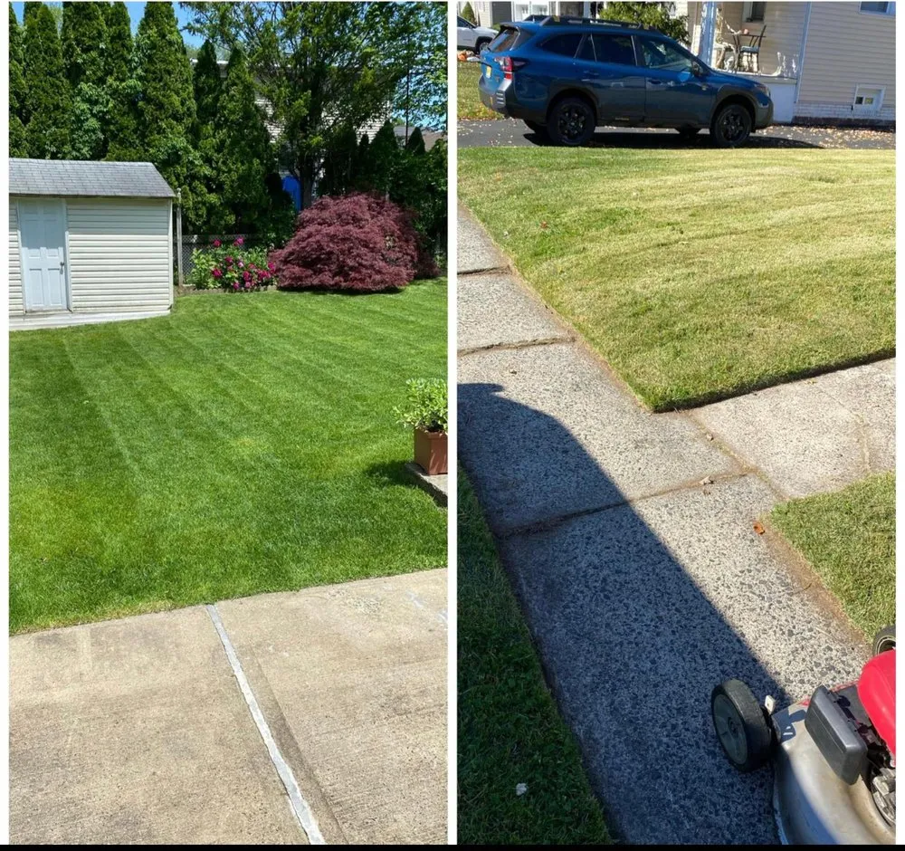 Local yard maintenance in Paterson, NJ - DJ lawn care & snow service