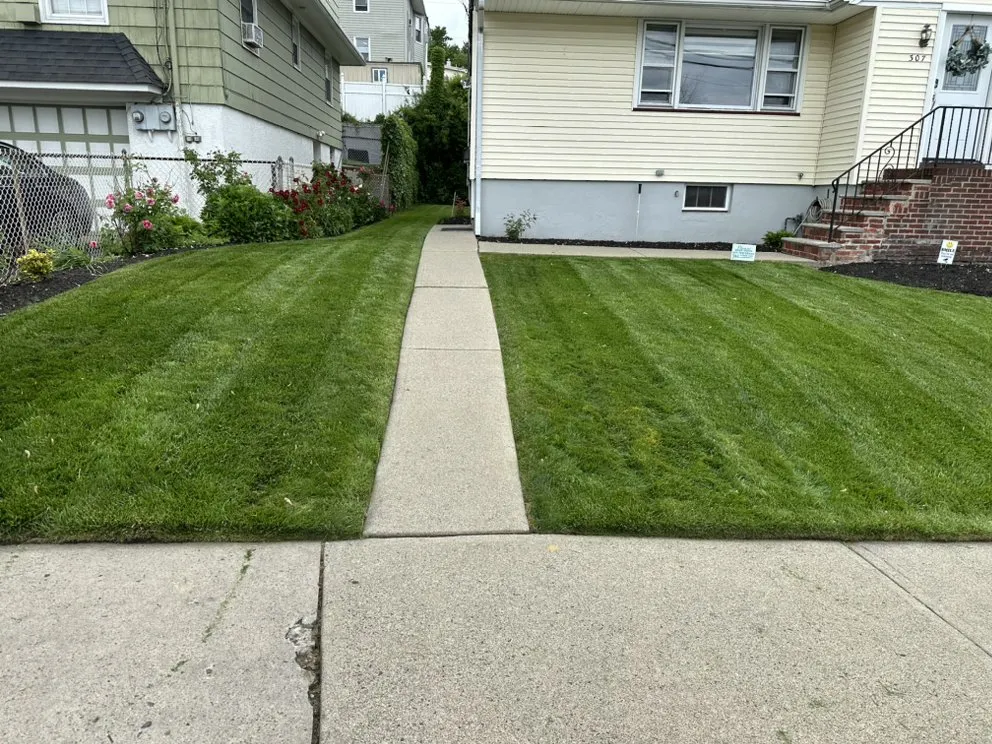 Affordable lawn mowing service for beautiful yards across Paterson, NJ - DJ lawn care & snow service