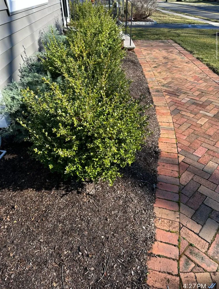 Custom yard maintenance in Paterson, NJ by DJ lawn care & snow service