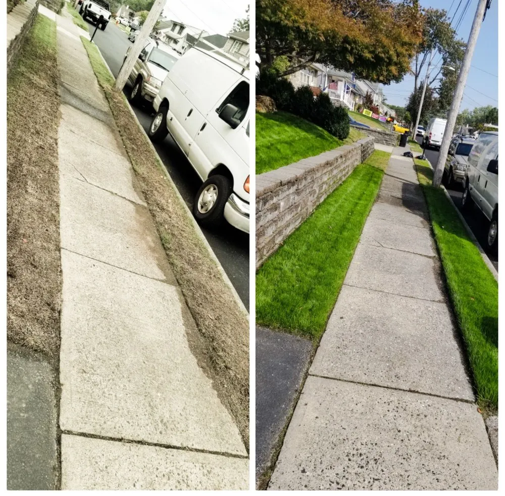 Professional yard maintenance in Paterson, NJ - DJ lawn care & snow service