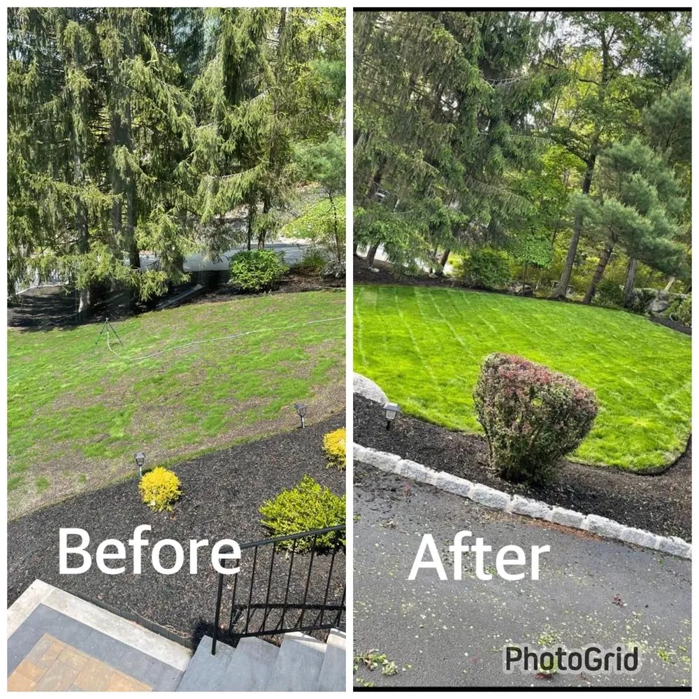 Custom lawn mowing service in Paterson, NJ - DJ lawn care & snow service