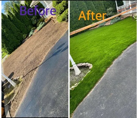 DJ lawn care & snow service