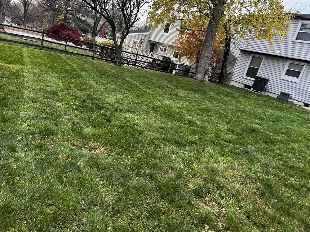 Reliable yard maintenance in Gwynn Oak, MD - D&J Lawn Care & Tree Services