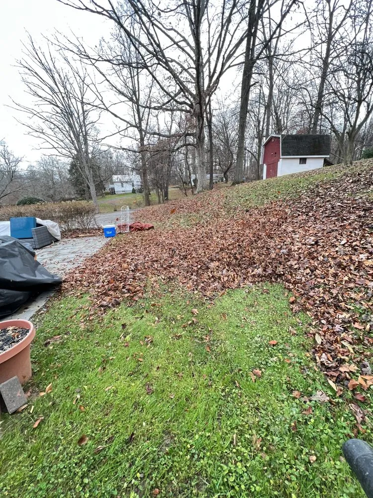 Trusted landscape installation for homes in Gwynn Oak, MD by D&J Lawn Care & Tree Services
