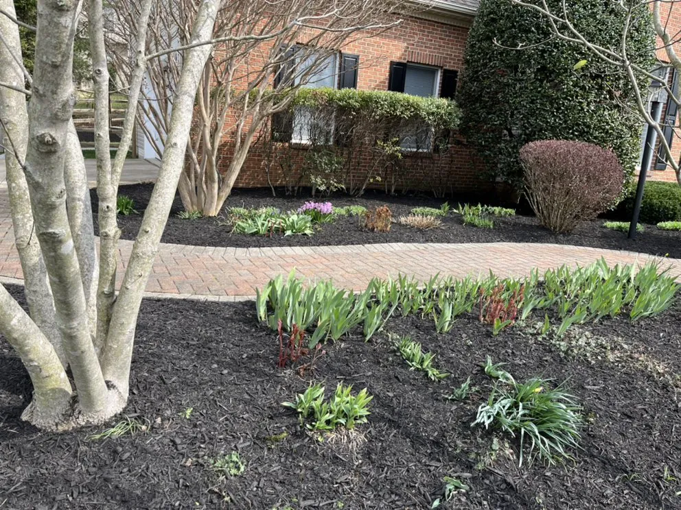 Top-rated yard cleanup service with custom design across Gwynn Oak, MD - D&J Lawn Care & Tree Services