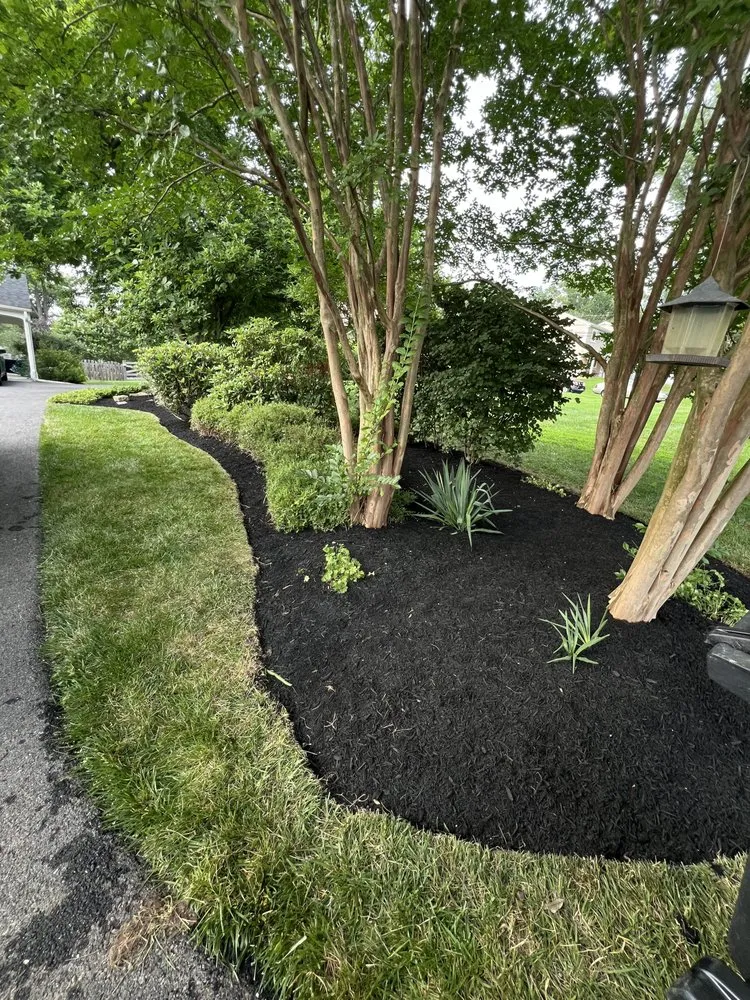 Expert yard maintenance in Gwynn Oak, MD - D&J Lawn Care & Tree Services