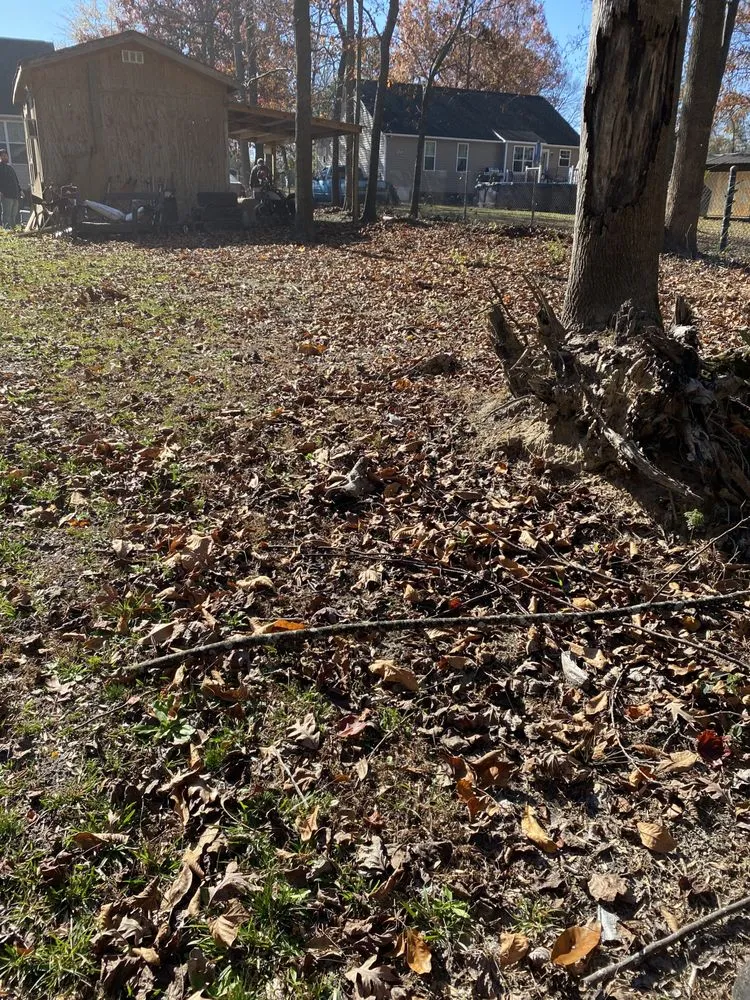 Custom garden landscaping experts serving Princeton, NC - DJ Lawn Care and Pressure Washing