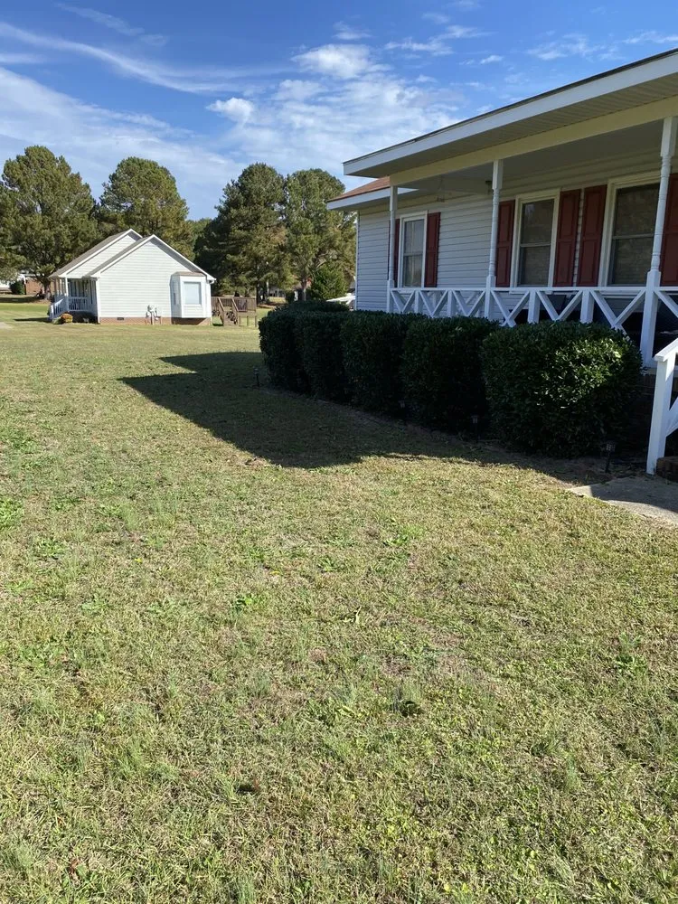 Expert lawn care service in Princeton, NC by DJ Lawn Care and Pressure Washing