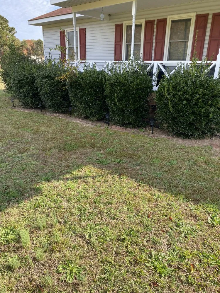 Trusted yard cleanup service in Princeton, NC by DJ Lawn Care and Pressure Washing