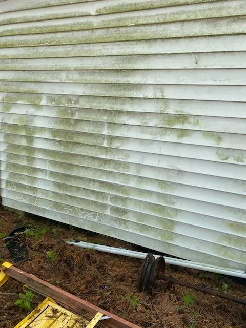 Local residential landscaping in Princeton, NC by DJ Lawn Care and Pressure Washing