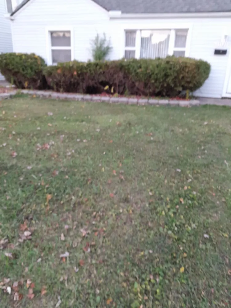 Professional yard maintenance in Eastpointe, MI - DJ Lawn Care