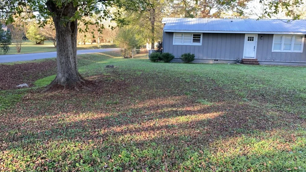 Custom lawn mowing service for homes across Hanceville, AL - D&J lawn care