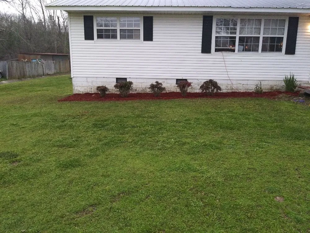 Expert lawn care service in Hanceville, AL - D&J lawn care