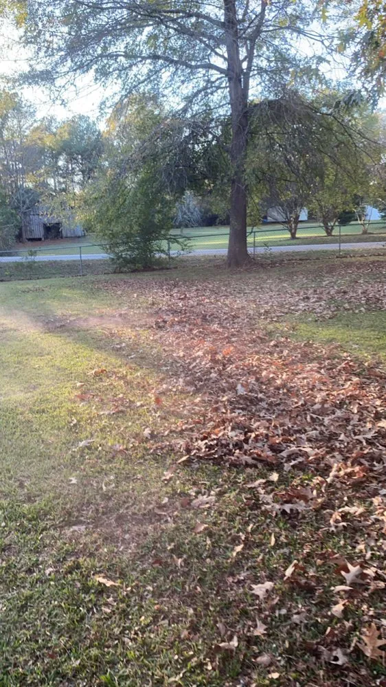 Expert yard cleanup service for year-round maintenance in Hanceville, AL by D&J lawn care