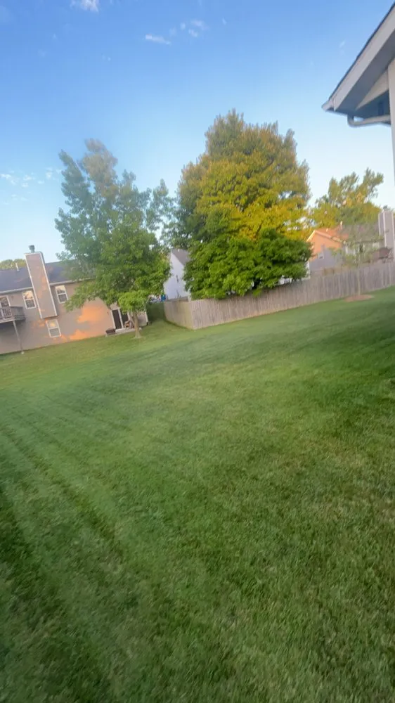 Top-rated landscape design for year-round maintenance across Collinsville, IL - D&J Lawn Service