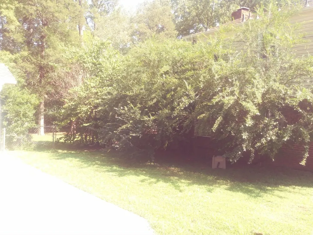 Professional lawn care service in Hillsborough, NC - DJ Lawncare