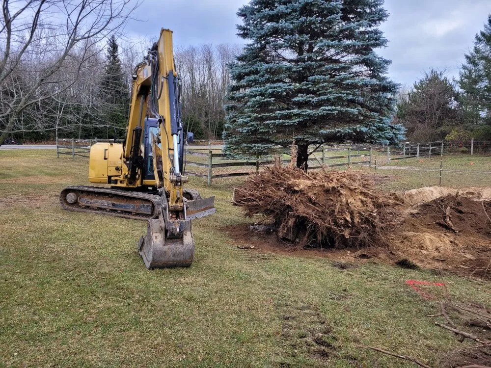 Local yard maintenance in Manistee, MI - D.J. Niesen & Sons