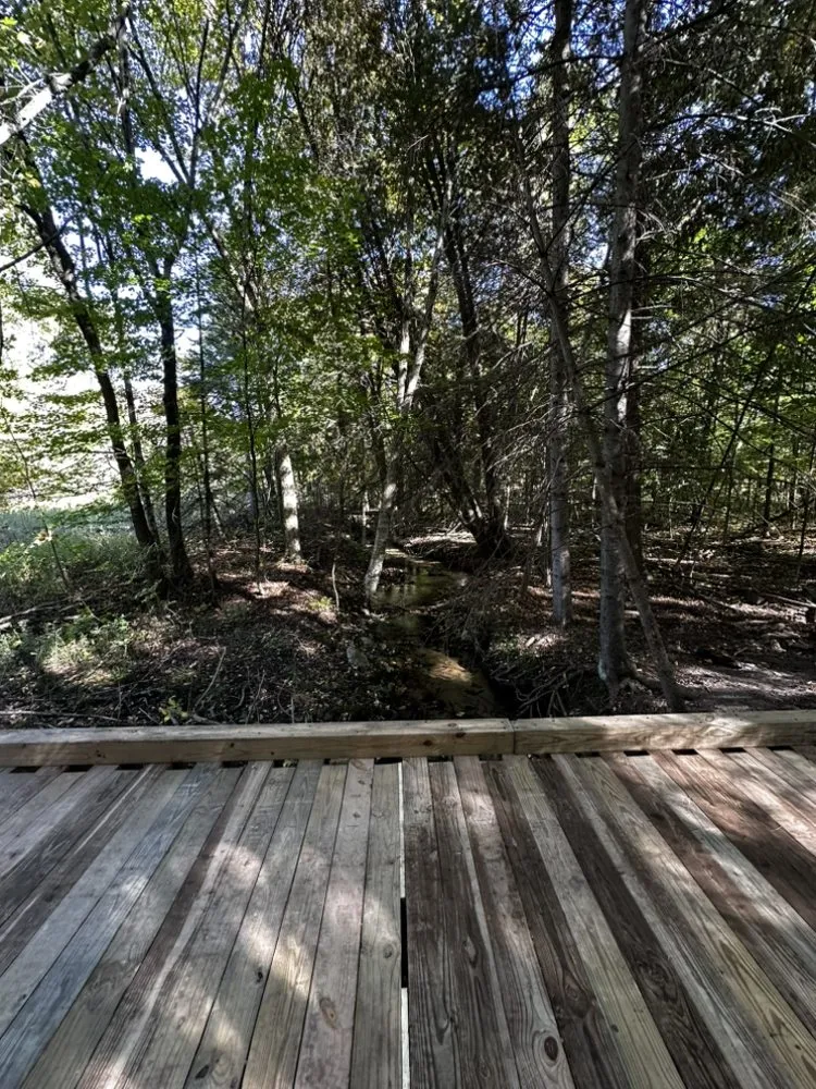 Affordable yard cleanup service for homes in Manistee, MI by D.J. Niesen & Sons