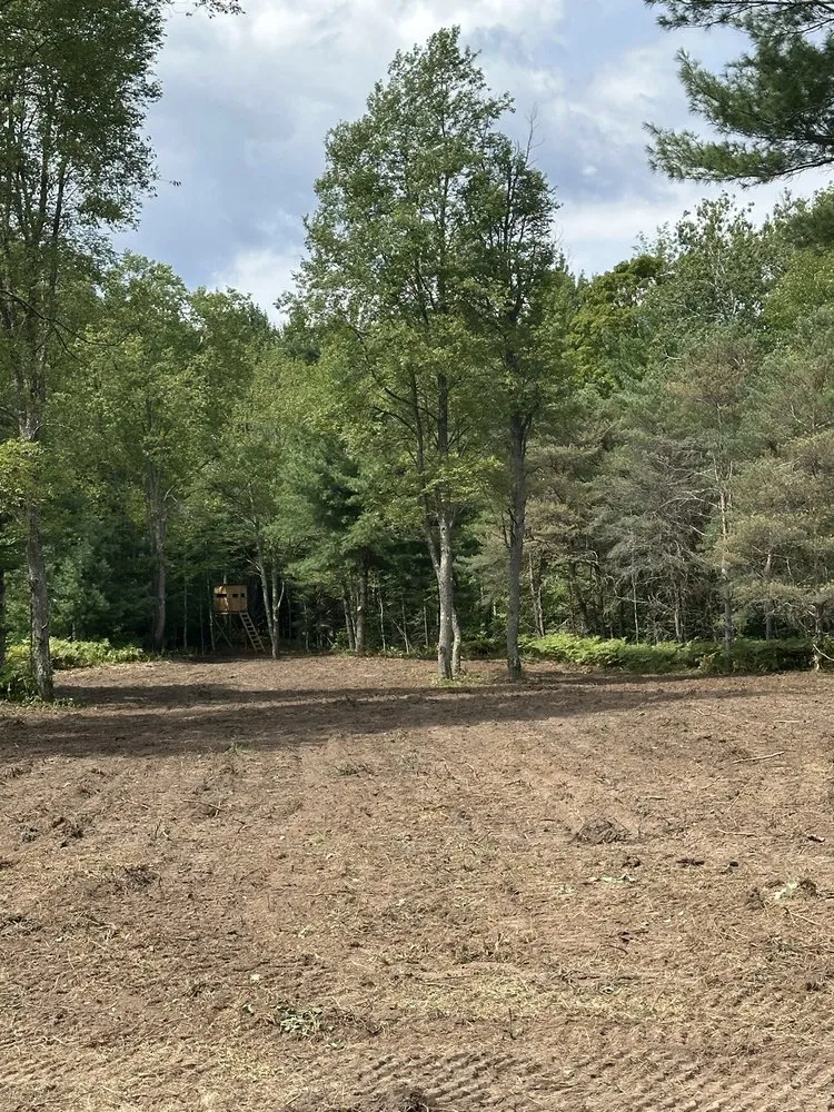 Top-rated yard maintenance experts serving Manistee, MI - D.J. Niesen & Sons