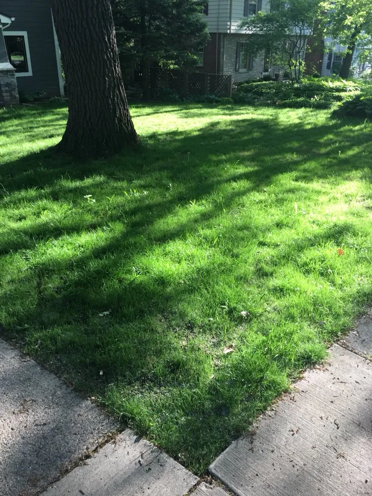 Top-rated lawn care service in West Des Moines, IA by D&J Outdoor Solutions