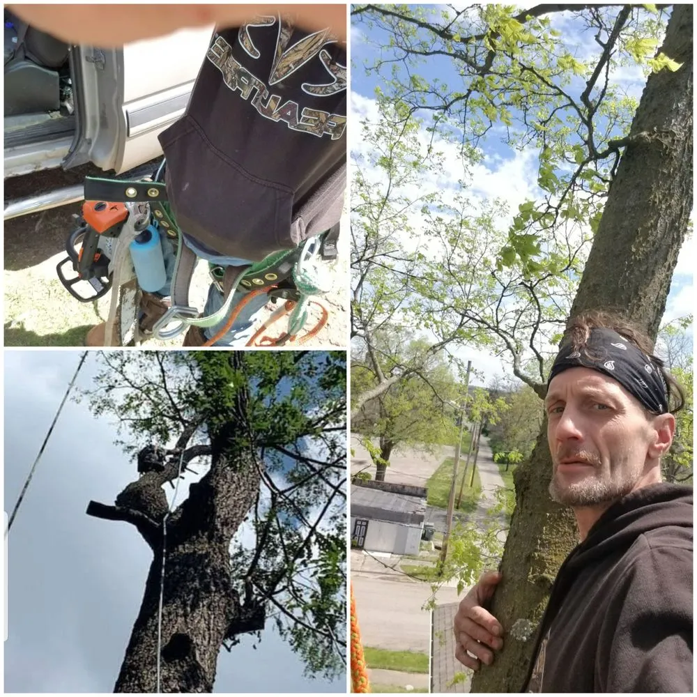 Professional outdoor landscaping experts serving Springfield, OH - D&J Property Maintenance