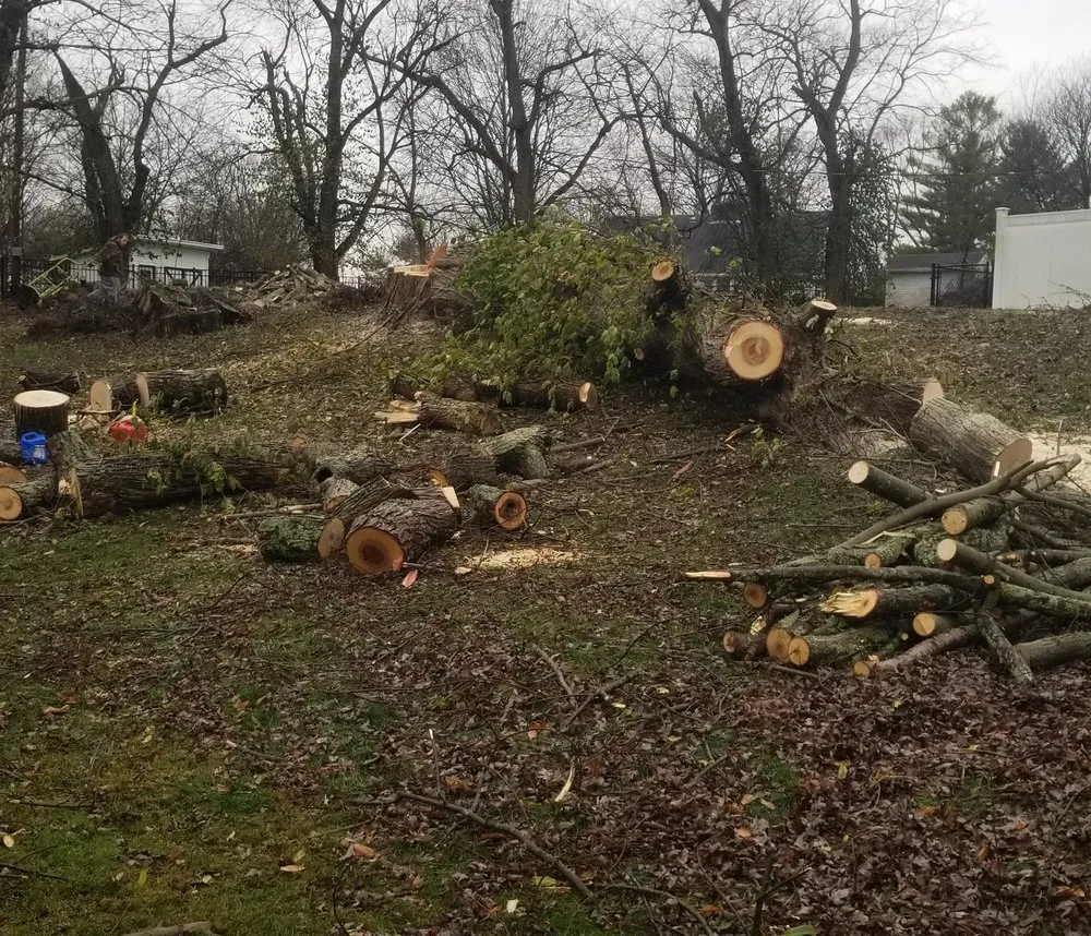 Expert lawn mowing service for residential properties across Springfield, OH - D&J Property Maintenance