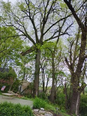 D&J Property Maintenance Logo