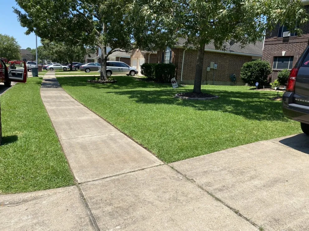 Top-rated landscaping services for beautiful yards across Friendswood, TX - D&J Quino's