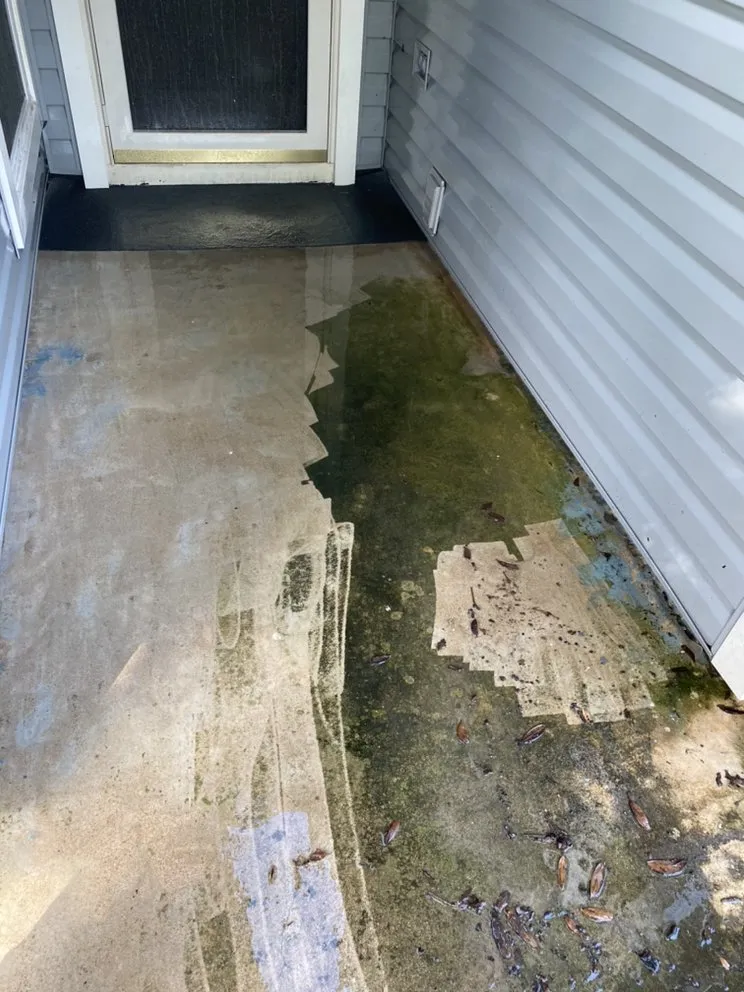 Reliable lawn care service experts serving Friendswood, TX - D&J Quino's