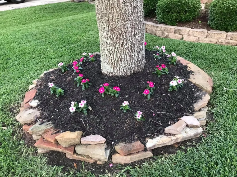 Top-rated landscape design in Friendswood, TX - D&J Quino's