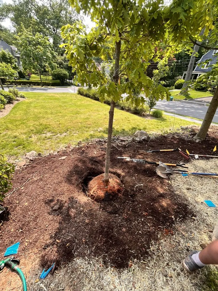 Affordable landscape design for homes in South Orange, NJ by D&J Services