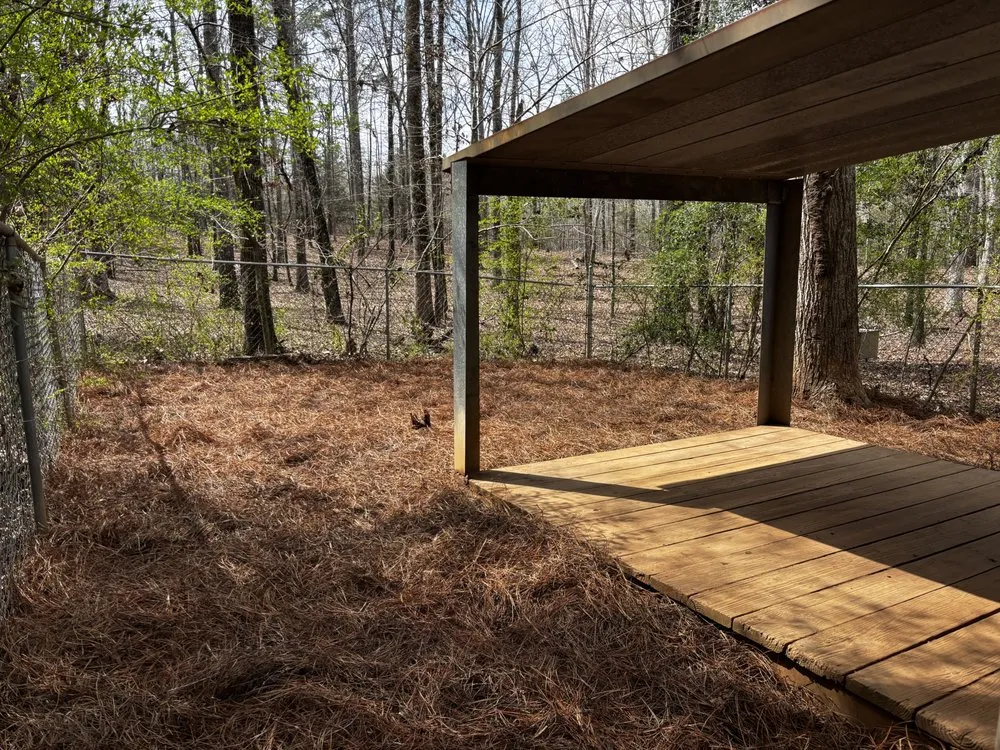 Professional landscape design experts serving Jackson, GA - DJ Solutions