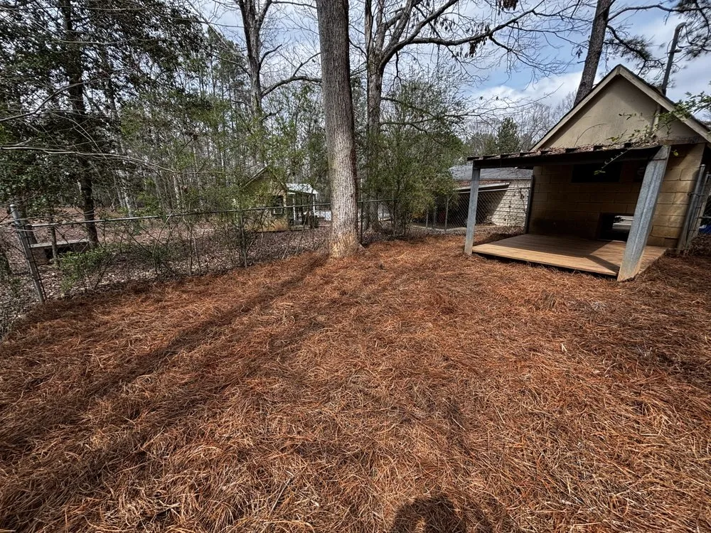Professional yard cleanup service in Jackson, GA by DJ Solutions