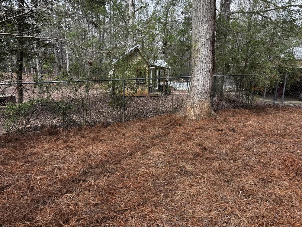 Trusted yard maintenance for homes in Jackson, GA by DJ Solutions