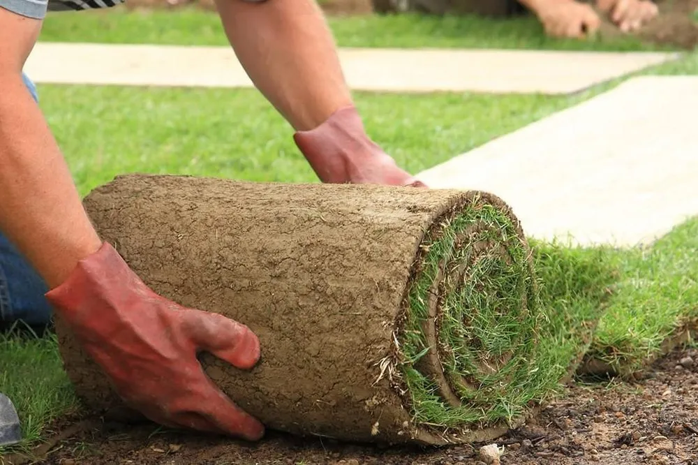 Professional yard cleanup service with custom design across Port St. Lucie, FL - D&J Total Lawn Care & Pressure Cleaning