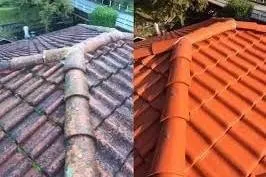 Reliable garden landscaping for year-round maintenance in Port St. Lucie, FL by D&J Total Lawn Care & Pressure Cleaning