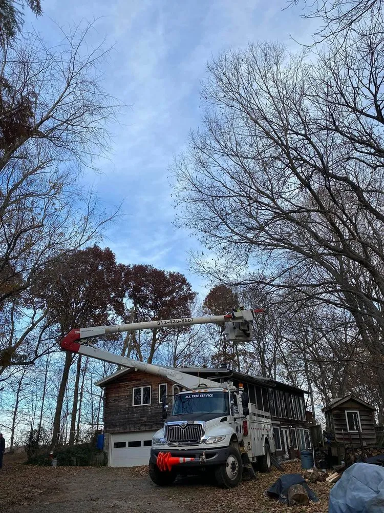 Local landscape installation with custom design in Evansville, IN by DJ Tree Service