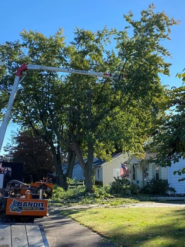 Reliable yard maintenance for residential properties across Evansville, IN - DJ Tree Service