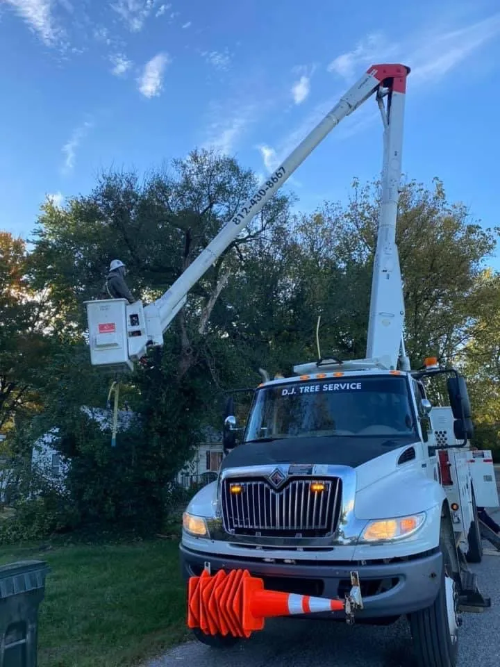 Trusted yard maintenance in Evansville, IN by DJ Tree Service