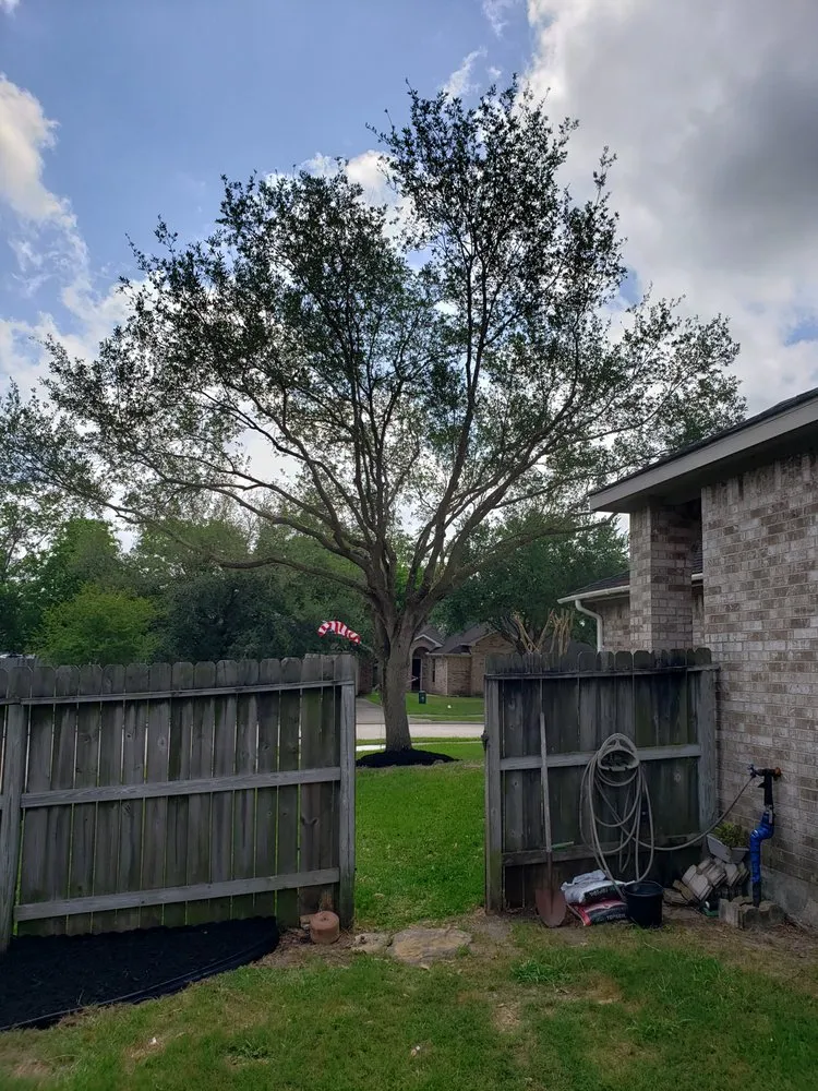 Top-rated residential landscaping in League City, TX - D&J Tree Services