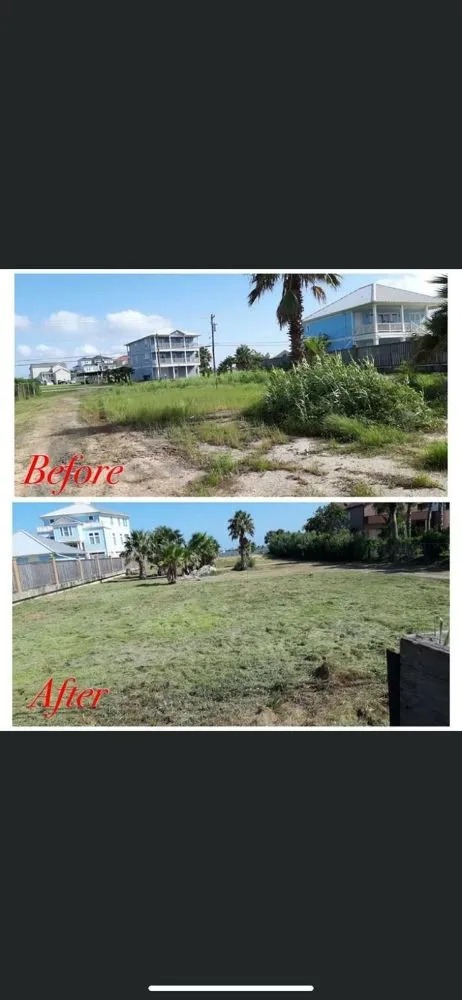 Reliable lawn mowing service experts serving League City, TX - D&J Tree Services