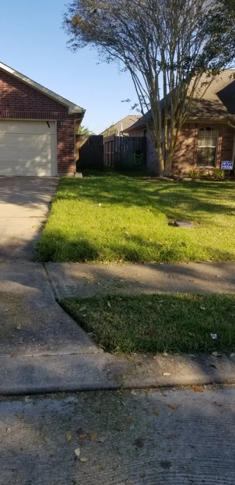 Custom lawn care service with custom design across League City, TX - D&J Tree Services