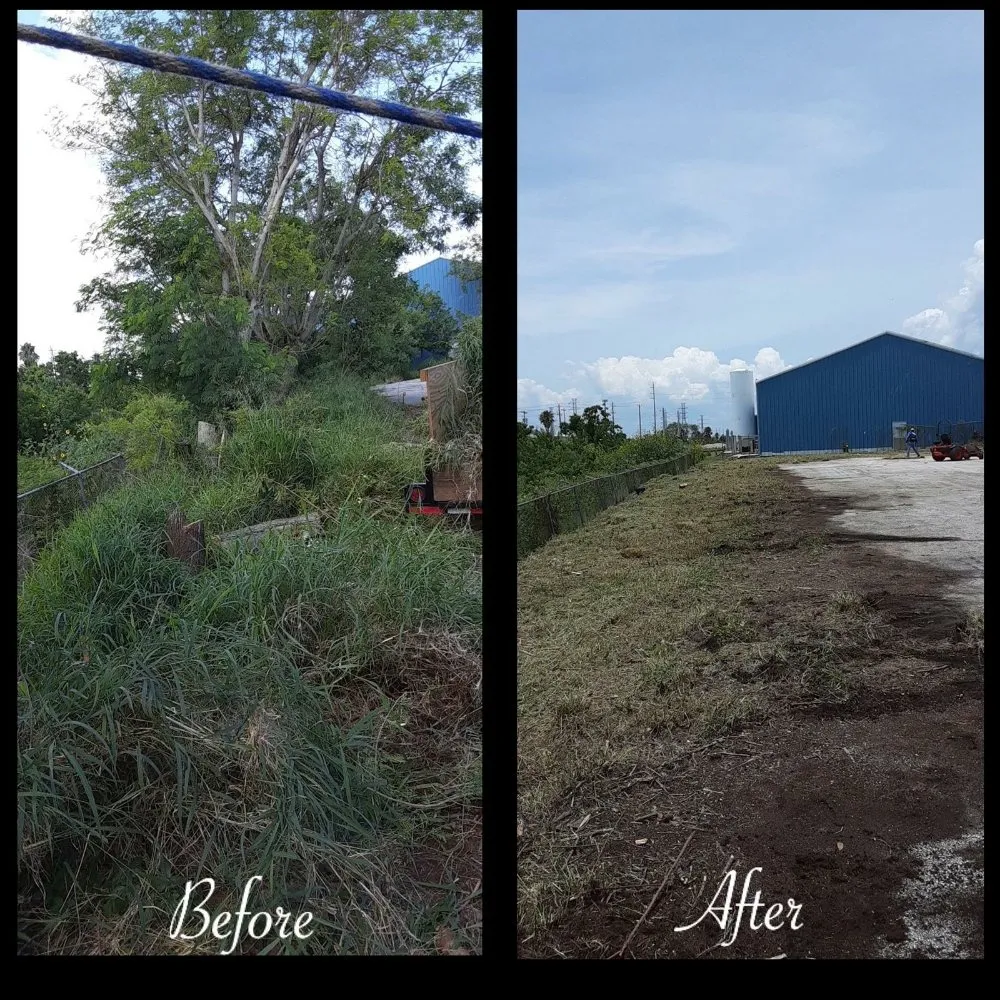 Professional yard maintenance in League City, TX by D&J Tree Services