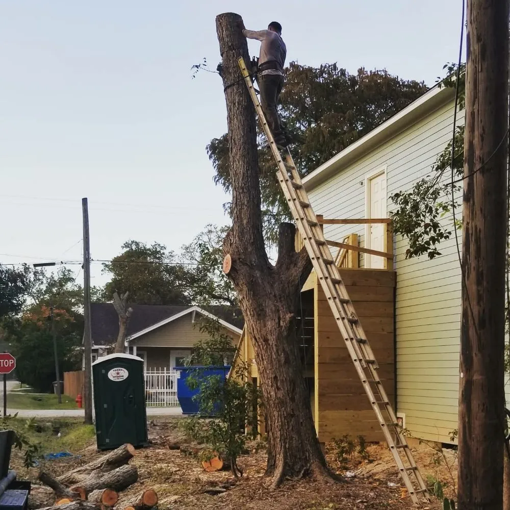 Top-rated yard maintenance with custom design in League City, TX by D&J Tree Services