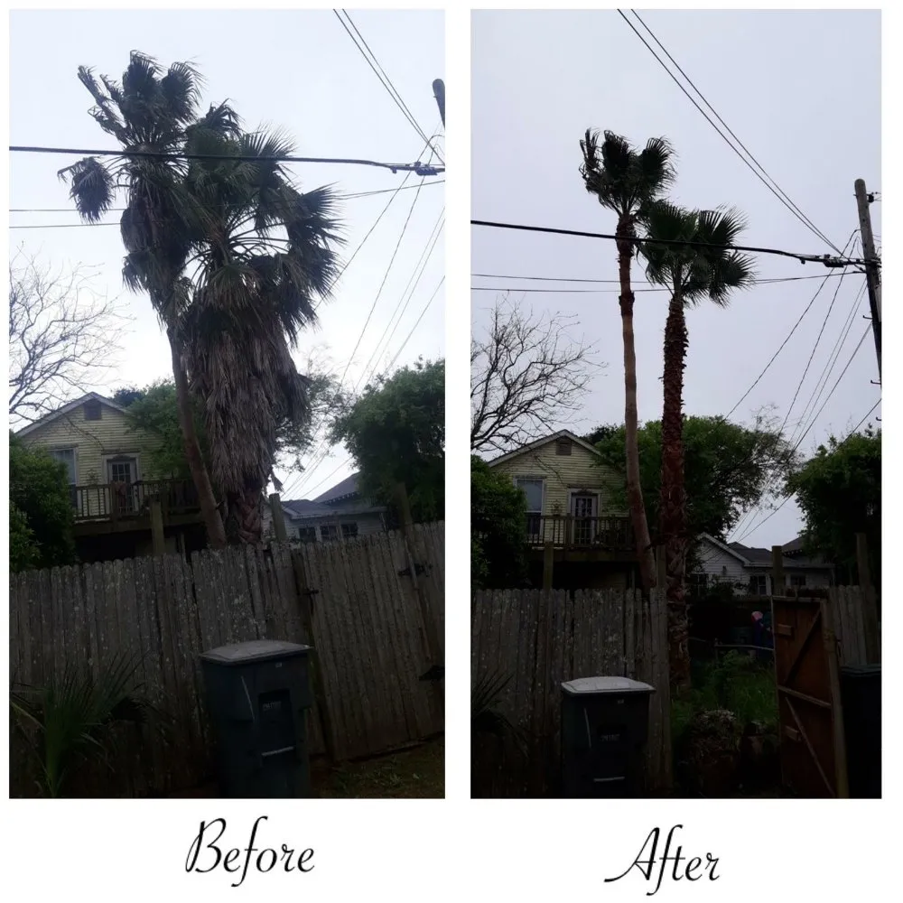 Trusted landscaping services in League City, TX - D&J Tree Services