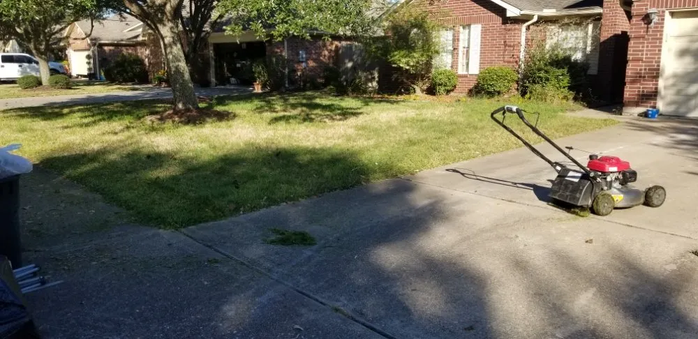 Reliable outdoor landscaping with custom design in League City, TX by D&J Tree Services