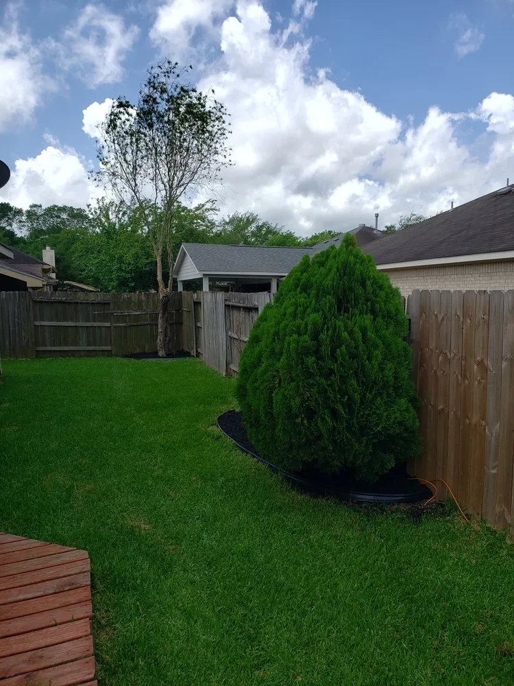 Affordable outdoor landscaping for homes in League City, TX by D&J Tree Services