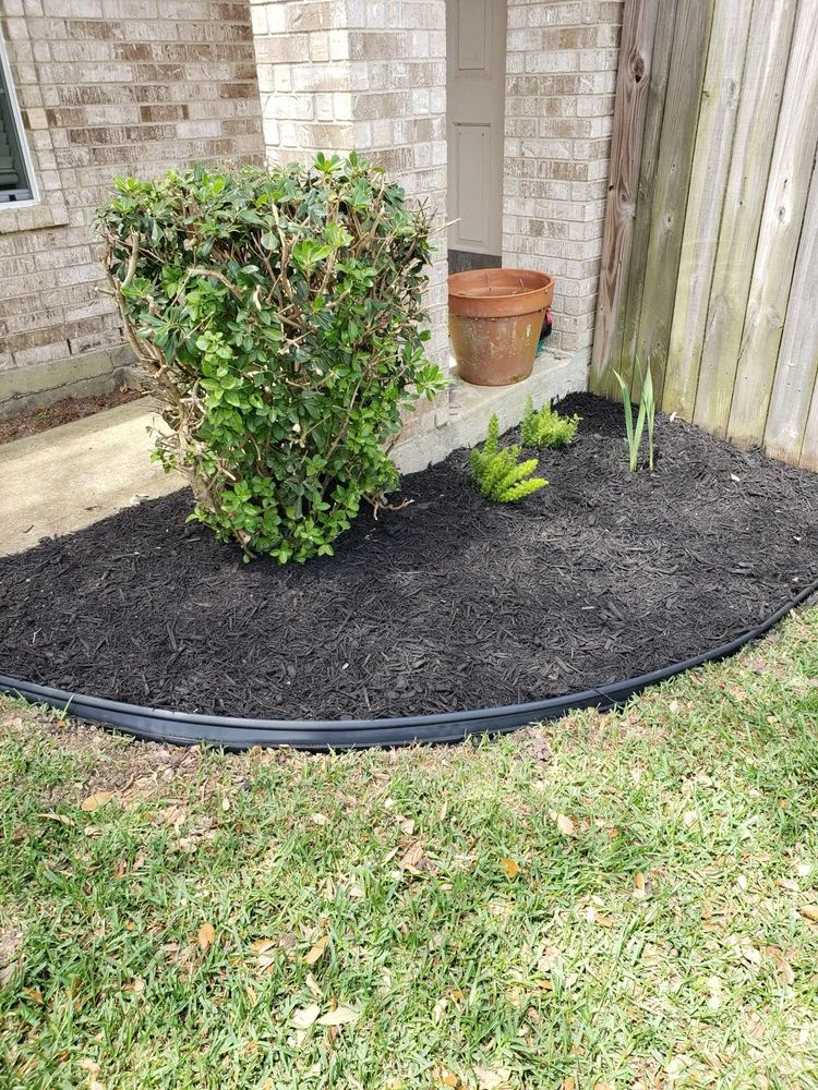 Local yard maintenance experts serving League City, TX - D&J Tree Services